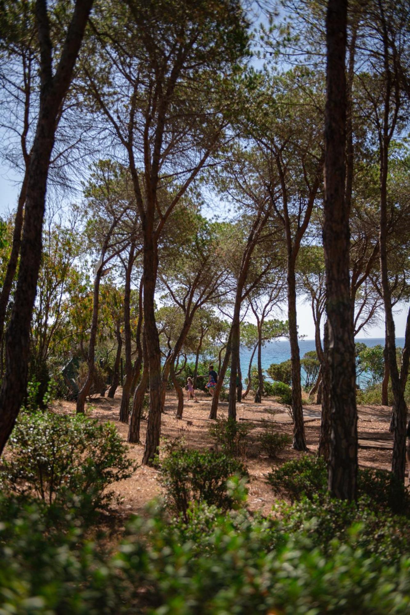 Hotel Amareclub Rocca Dorada Santa Margherita di Pula Exteriér fotografie